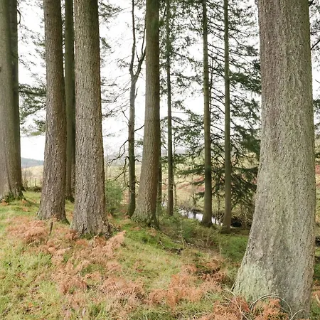 Palace Main Street